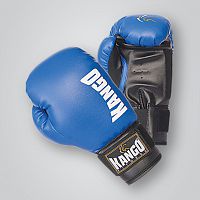 Перчатки боксерские Kango Fitness BPK-042, иск. кожа, синие, 6 унций